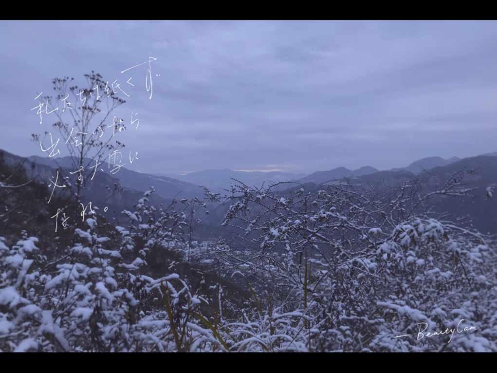 逗小猴开心系列190