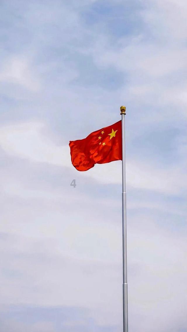 史小坑的爆笑生活11