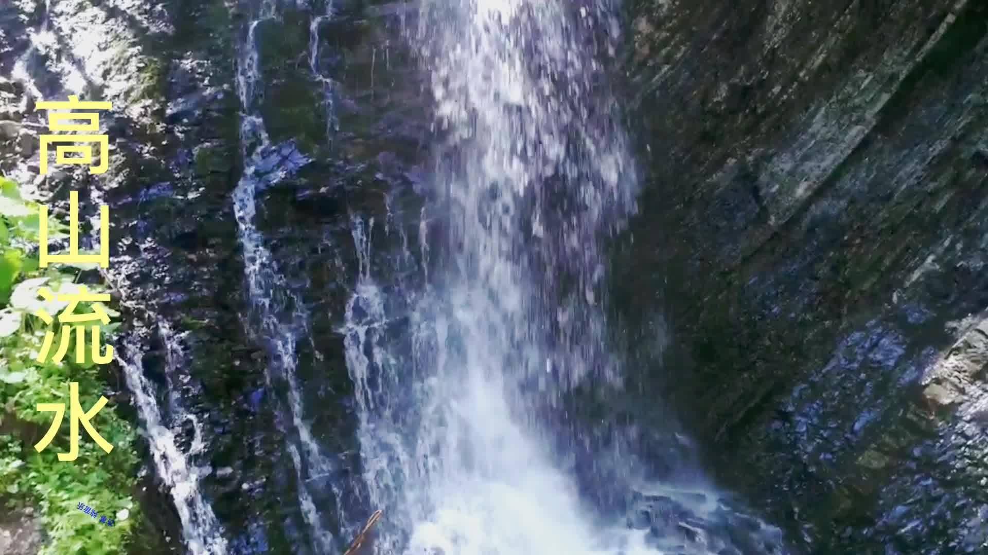 生化危机启示录2