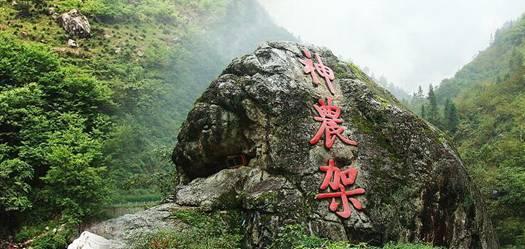 敢想敢拼 沃土生“金”助农增收有奔头
